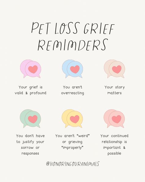 🚨 If you've felt isolated and unsupported in your grief, I'm deeply sorry. You're not alone. 📚 Your feelings are backed by countless studies showing the deep impact pets have on our lives. 🌻 Let's use our shared experiences to build a bridge of empathy and understanding, offering support where it's needed most. How To Deal With The Loss Of A Pet, Per Memorial Ideas, Griefing Your Pet Quotes, How To Deal With Pet Loss, Griefing Your Pet Quotes Cat, Coping With Pet Loss Dogs, How To Grieve The Loss Of A Pet, Pet Bereavement Quotes, Griefing Your Dog Quotes