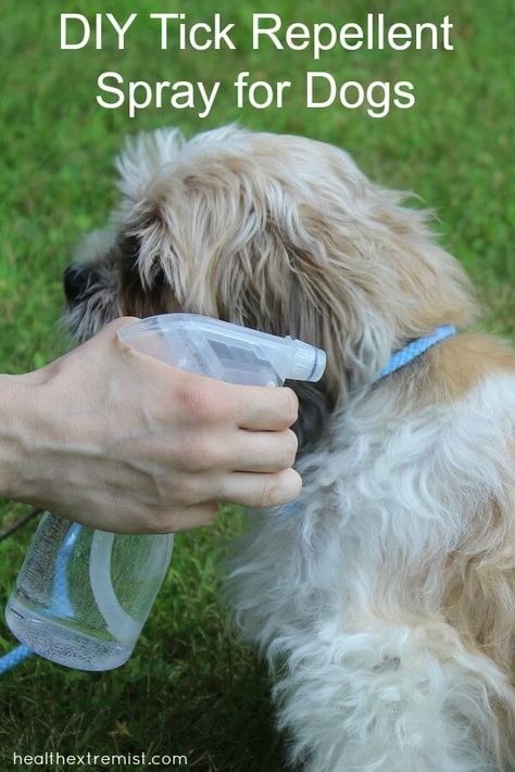 Diy Tick Repellent, Homemade Tick Repellent, Tick Repellent For Dogs, Dog Repellent Spray, Flea Spray For Dogs, Tick Spray For Dogs, Natural Tick Repellent, Dog Repellent, Pet Remedies