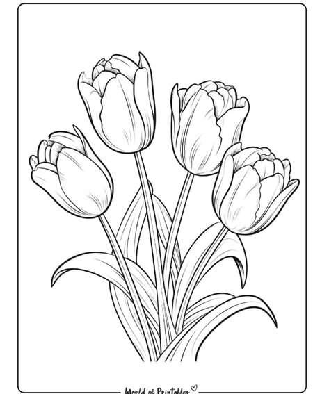 Tulip Tattoo Stencil, Tulips Drawing Sketch, Flower Tulip Drawing, Flower Drawing Tulip, Tulips Flowers Drawing, Tulip Outline, Tulip Flower Drawing, Poppy Flower Drawing, Bird Silhouette Art