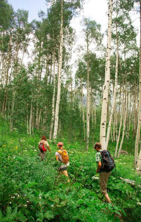 Vertical shot of people walking on a pat... | Free Photo #Freepik #freephoto #tree #people #travel #wood Landscapes With People, People In Forest, Rain Forest Diorama, People At The Park, Walking Through Forest, People In Park, Walking In A Forest, Landscape With People, Walking In Forest