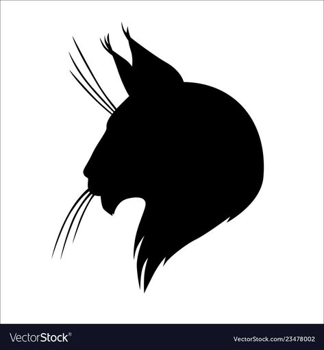 Maine Cooney Cats, Silhouette Head, Cat Outline, Animal Drawings Sketches, Printable Pictures, Cat Silhouette, Studio Logo, Vector Illustrations, Maine Coon