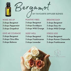 Bergamot -- bright, happy, rest, stress free, focus -- diffuser blends Doterra Diffuser, Doterra Diffuser Blends, Essential Oil Combinations, Doterra Essential Oils Recipes, Essential Oil Remedy, Essential Oil Diffuser Blends Recipes, Doterra Oil, Young Living Essential Oils Recipes, Essential Oils Guide