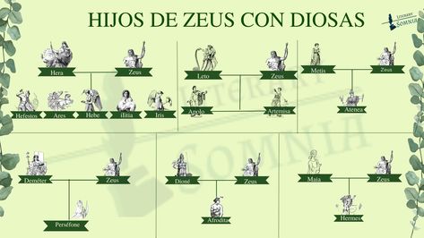 Infografía de Los hijos de Zeus, los hijos con diosas y divinidades, los hijos de Zeus con humanas Zeus And Hera, Son Of Zeus