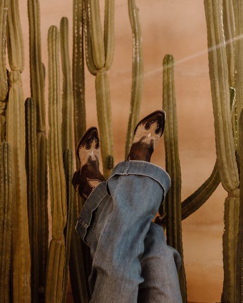 Walking into NFR in classic western style @stetsonusa 🐴✨🤠🎰 Spent the day shopping at the Roper Cowboy Marketplace with Stetson today, and I’m telling you they understood the classy cowgirl assignment! You can find my complete outfit in their booth! #itsastetson #nfrfashion #nfr2024 #westdesperado Alt Western Aesthetic, Rich Cowgirl Aesthetic, Western Small Business Ideas, Rich Cowgirl, Western Cowboy Aesthetic, Western Fashion Editorial, Western Mood Board, Western Editorial, West Desperado