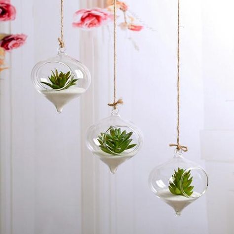 Hanging glass terrarium