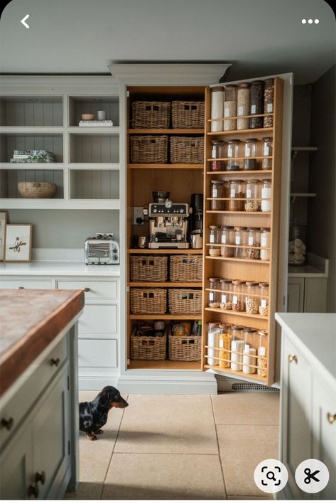 Pantry With Coffee Station, Compact Pantry, Koti Diy, Yum Recipes, New House - Kitchen, Casa Vintage, St Charles, Magical Garden, Kitchen Inspiration Design