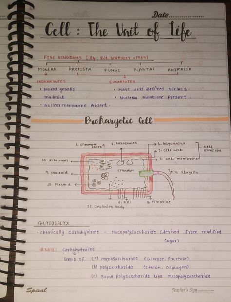 Ncert Class 9 Science Notes, Cell Notes Biology Class 9 Aesthetic, Cell Notes Biology Class 9, The Fundamental Unit Of Life Notes, Fundamental Unit Of Life Notes Class 9, Prokaryotic Cell Notes, Cell Wall Notes, Handwritten Notes School, Cell The Unit Of Life Notes