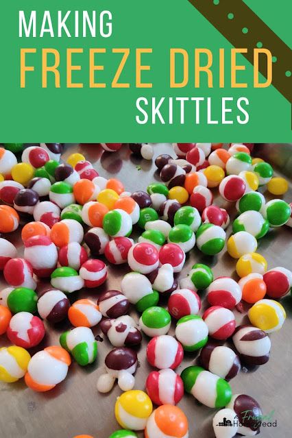 Learn how to make freeze dried skittles in your Harvest Right machine. Homemade Skittles Candy, How To Dehydrate Candy, Dehydrated Skittles In Air Fryer, Homemade Freeze Dried Candy, Freeze Dried Candy In Air Fryer, Dehydrated Candy In Air Fryer, Freeze Dried Business, How To Freeze Dry Marshmallows, Freeze Dried Starburst