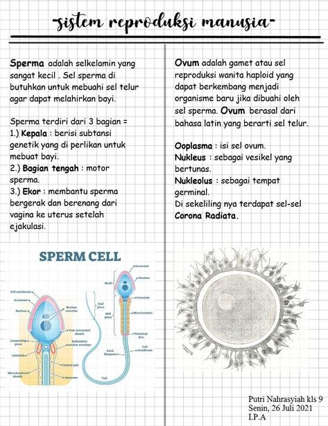 Tugas Aesthetic, Materi Kelas 9, Mind Maping, Desain Buklet, Learning Mathematics, School Materials, Teaching Biology, Study Time, Mind Map