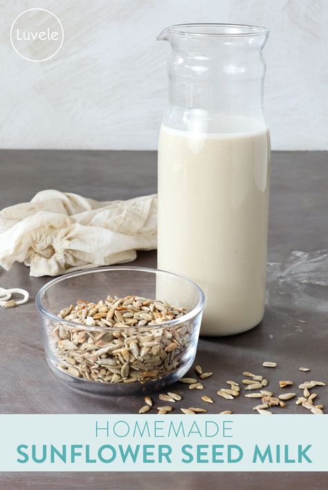 Homemade sunflower seed milk - Luvele AU Sunflower Seed Cheese, Homemade Soy Milk, Milk Plant, Coconut Milk Smoothie, Milk Benefits, Hemp Milk, Food Resources, Vegan Milk, Vegan Yogurt