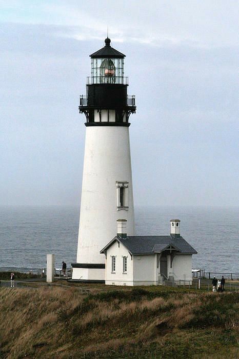 White Lighthouse, Newport Oregon, Lighthouses Photography, Lighthouse Tattoo, Lighthouse Photos, Lighthouse Painting, Lighthouse Pictures, Lighthouse Keeper, Lighthouse Art