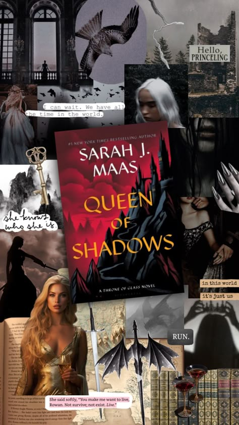 #queenofshadows Throne Of Glass Queen Of Shadows, Queen Of Shadows Aesthetic, Queen Of Shadows Fanart, Aelin Aesthetic, Assassin Blade, Manon And Dorian, Tog Characters, Acotar Books, Tog Fanart