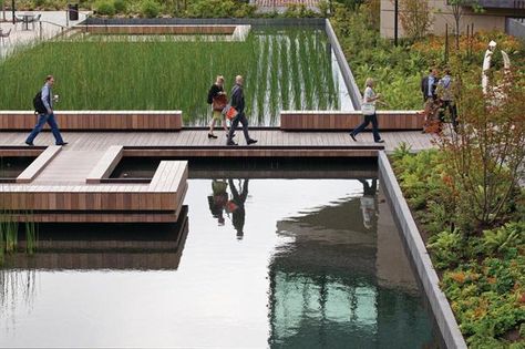 Architecture Tips, Campus Landscape, Villa Architecture, Water Architecture, Melinda Gates, Landscape Gardening, Campus Design, Urban Landscape Design, Landscape And Urbanism