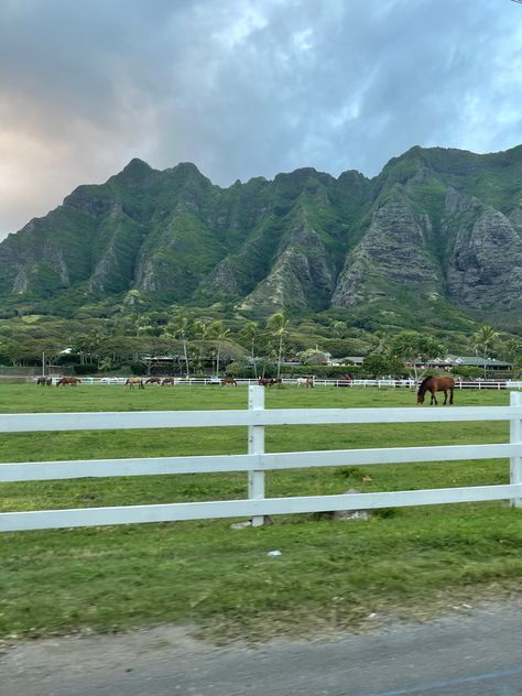 Kuala Ranch Hawaii, Horses In Hawaii, Hawaii Ranch, Hawaii Trip Outfits, Hawaii Farm, College In Hawaii, 21st Birthday Trip, Kualoa Ranch Hawaii, Move To Hawaii