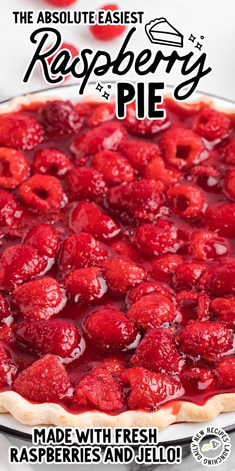 Fresh Raspberry Pie Recipe, Fresh Raspberry Pie Filling Recipes, Red Raspberry Pie Recipes, Peach Raspberry Pie Recipes, Easy Raspberry Pie, Homemade Raspberry Pie Filling, No Bake Raspberry Pie, Red Raspberry Cream Pie, Raspberry Pie Recipe Easy