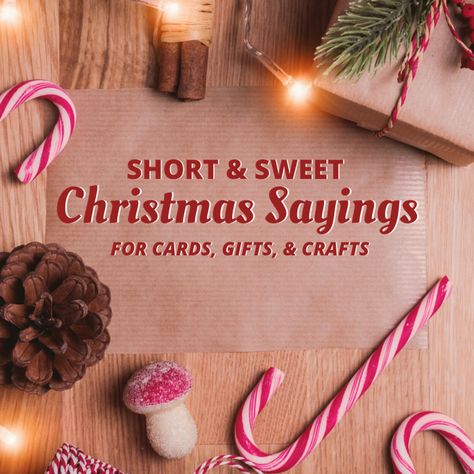 These short, cute, and creative sayings are perfect for personalizing Christmas cards, gifts, ornaments, crafts, and more. Some are funny and cynical while others are thoughtful and sincere. Happy holidays! Christmas Food Sayings, Christmas Candy Sayings, Holidappy Christmas, Candy Cane Sayings, Cute Christmas Card Sayings, Christmas Phrases Short, Christmas Card Sayings Messages, Short Funny Christmas Quotes, Cute Christmas Sayings