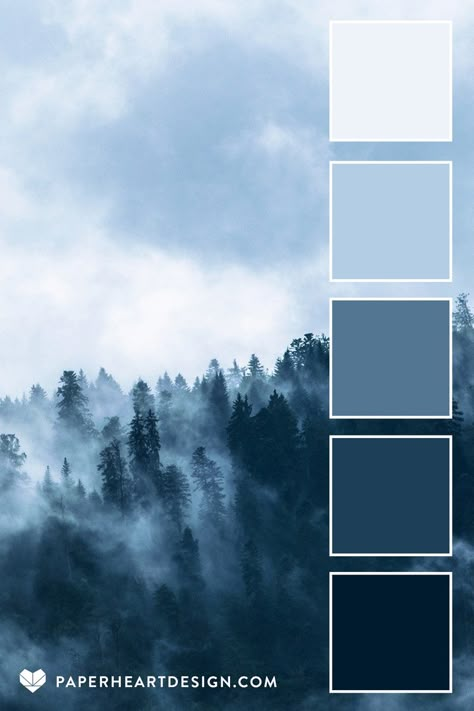 Navy Gray Color Palette, Moody Scenery, Fog Forest, Gray Color Palette, Shades Of Cream, Grey Palette, Winter Color Palette, Grey Color Palette, Nature Color Palette