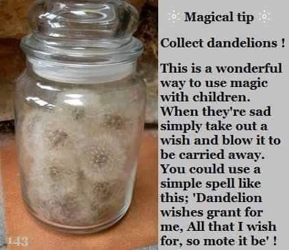 Witch Tips, Witchy Tips, Dandelion Wish, Wiccan Spell Book, Wiccan Witch, Eclectic Witch, Magick Spells, Witchcraft Spell Books, Witch Spell Book