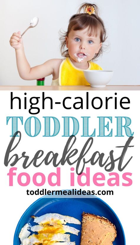 High Fat Foods For Toddlers, Breakfast Ideas For Toddlers Easy, Toddler Weight Gain Recipes, Toddler Weight Gain Food, Blw Breakfast, Breakfast Ideas For Toddlers, Breakfast Food Ideas, Gain Food, High Calorie Breakfast