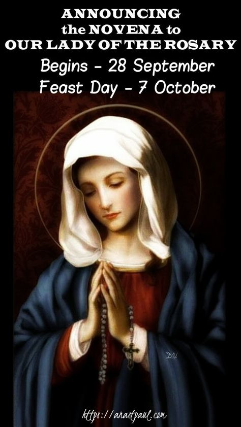 Announcing a Novena to Our Lady of the Rosary – AnaStpaul Holy Rosary Prayer, Rosary Novena, Catholic Feast Days, Our Lady Of The Rosary, Lady Of The Rosary, Mary Immaculate, St John Vianney, 7 October, Blessed Mary