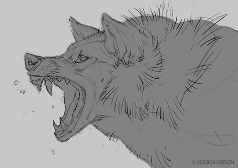 Wolf Mouth Drawing, Wolf Reference Photo, Wolf Drawing Reference, Mouth Drawing Reference, Wolf Reference, Wolf Poses, Angry Wolf, Wolf Sketch, Canine Drawing