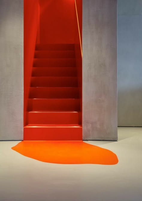 Dropped my tin of orange paint! #luxurydotcom3 Basement Stairs, Painted Stairs, Stair Decor, Orange Paint, Wall Finishes, Staircase Design, Stairs Design, Staircases, Interior Paint