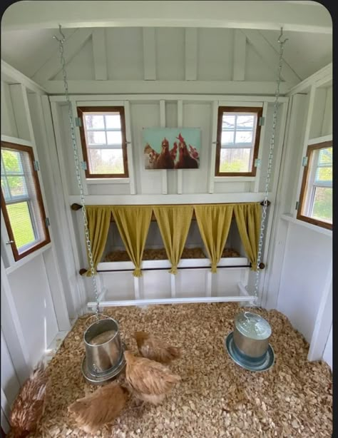 Chicken House Interior Ideas, Crib Chicken Coop, Chicken Coops Inside, Chicken Coop Porch, Diy Inside Chicken Coop Ideas, Cute Chicken Coop Interior, Chicken Shed Interior, Interior Chicken Coop Layout, Chicken Coop Shed Interior