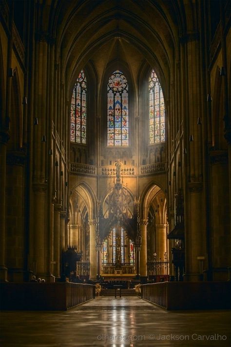 Aesthetic Cathedral, Linz Austria, Church Aesthetic, Gothic Cathedrals, Cathedral Architecture, Gothic Cathedral, Gothic Church, Sacred Architecture, Church Interior