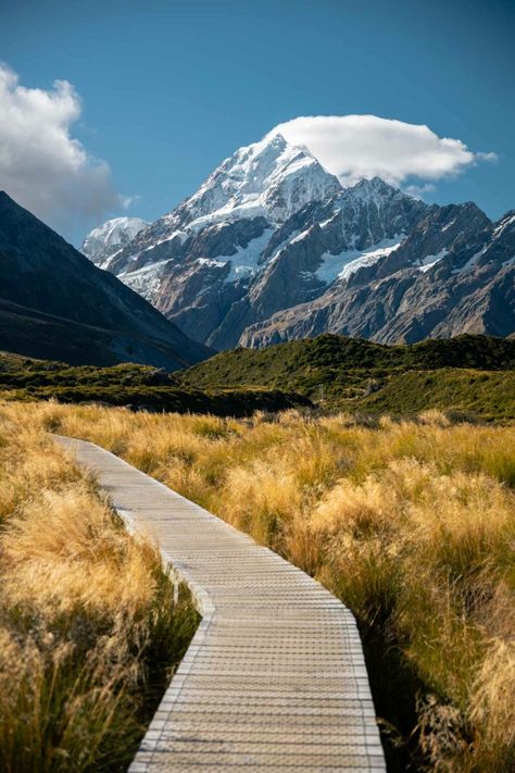 2 Week New Zealand North Island Itinerary (2024 Guide) 3 Arthurs Pass New Zealand, Waiheke Island New Zealand, Travel Landscape, North Island Nz, Nature New Zealand, New Zealand November, Nee Zealand, New Zealand Nature, New Zealand Photography