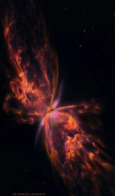 The Butterfly Nebula, Butterfly Nebula Wallpaper, Nasa Space Pictures, Beautiful Nebula, Butterfly Nebula, Planetary Nebula, Nebula Wallpaper, Nasa Hubble, Cosmos Space