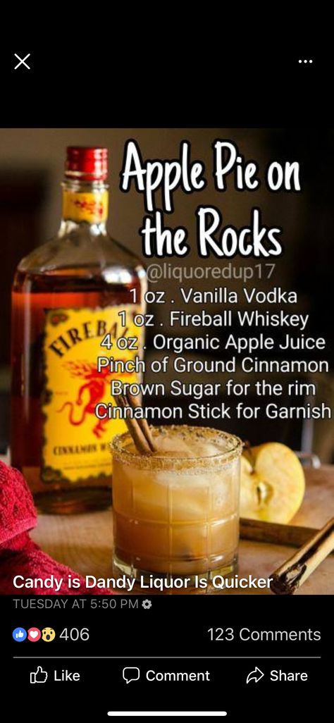 Apple Pie Drink, Fireball Drinks, Whiskey Drinks Recipes, Fruity Mixed Drinks, Adult Beverages Recipes, Booze Drink, Hot Toddies Recipe, Liquor Recipes, Cocktail Drinks Alcoholic