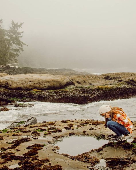 Woods Family | AdventureTravel on Instagram: “This is where tide pool dreams come true.  The mecca of tide pools.  5 Star tide pool ratings.  If there were Michelin stars for tide…” Tide Pool Aesthetic, Tide Pooling, Ocean Vbs, Ocean Ideas, Ocean Stuff, Tidal Pool, Tide Pool, Canada Travel Guide, Pool Picture