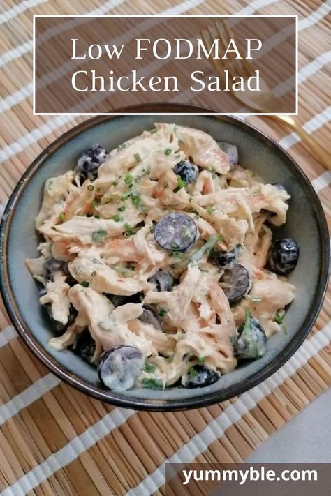 Low Fodmap Lunches For Work, Low Fodmap Chicken Salad Recipe, Low Fodmap Shredded Chicken Recipes, Low Fodmap Work Lunch, Low Fodmap Rotisserie Chicken Recipes, Low Fodmap Dressing Recipe, Low Fodmap Chicken Breast Recipes, Low Fodmap Crockpot Recipes, Fodmap Chicken Salad