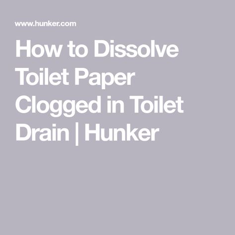 How to Dissolve Toilet Paper Clogged in Toilet Drain | Hunker Unplug Toilet, Toilet Plumbing, Clogged Pipes, Replace Toilet, Toilet Drain, Clogged Toilet, Drain Pipe, Toilet Seat, Toilet Paper Holder