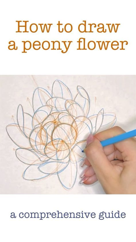 Here’s my comprehensive step by step tutorial in how to draw a peony flower How To Draw Tattoo Flowers, Flower Drawing Peony, Drawing Peonies Step By Step, How To Draw Peony Flowers, Peony Flower Drawing Step By Step, How To Draw Peony Step By Step, How To Draw Peony, How To Draw Tattoos Step By Step, How To Draw A Peony