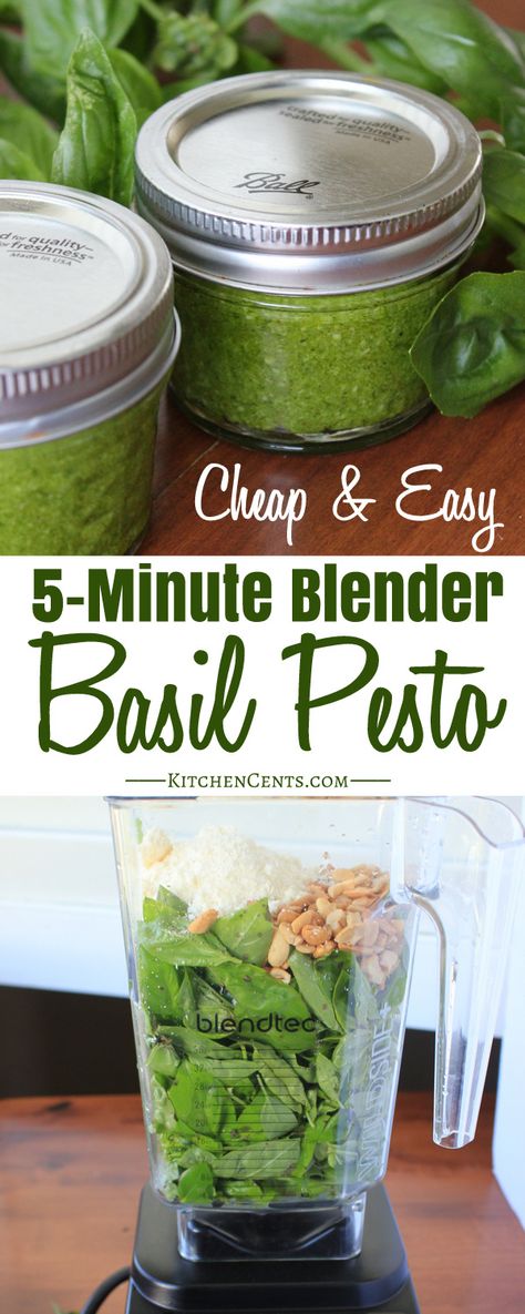 Inexpensive Easy 5-Minute Blender Basil Pesto | Kitchen Cents How To Preserve Basil Pesto, How To Make Pesto With Basil To Freeze, Pesto In A Blender, What To Do With Extra Fresh Basil, Canned Pesto Recipe, Herbs Preserving, Herb Preservation, Canning Pesto, Pesto Basil