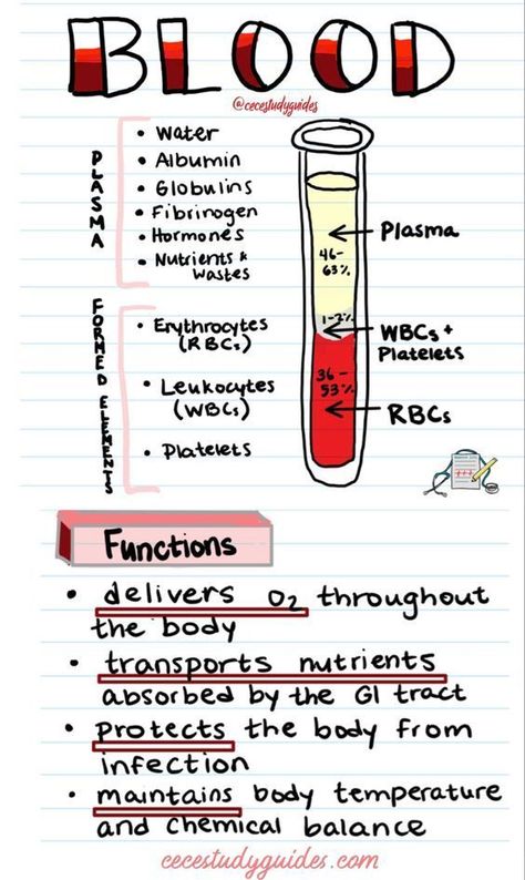 Blood #medschool #doctor #medicalstudent - Image Credits: Cece's Study Guides Studie Hacks, Medical Assistant Student, Studera Motivation, Medical School Life, Nursing School Motivation, Basic Anatomy And Physiology, Nurse Study Notes, Nursing Student Tips, Biology Facts