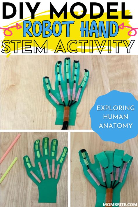 Stem Hand Project, Engineering Crafts For Preschool, Robot Hand Stem Activity, Engineering For Preschoolers, Stem Fair Project Ideas For 5th Graders, School Aged Activities, Anatomy Stem Activities, 4th Grade Stem Projects, Robot Hand Diy