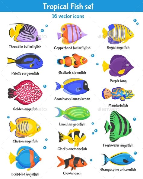 Exotic tropical fish icons set with fish species flat isolated vector illustration. Editable EPS and Render in JPG format Tropical Fish Art, Fish Chart, Beautiful Tropical Fish, Zestaw Ikon, Fish Icon, Live Aquarium Plants, Salt Water Fish, Fish Vector, Cool Pencil Drawings