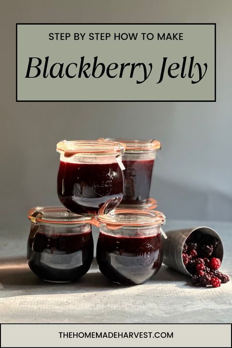 What is better than ripe, freshly picked blackberries? I’ll walk you through how to make blackberry jelly (no seeds) step by step. This post contains all the tips and tricks that a beginner would need to try their hand at jelly making. How To Make Blackberry Jelly, Blackberry Jelly With Pectin, Blackberry Pepper Jelly, Blackberry Jelly Recipe Easy, Blackberry Jelly Recipe Seedless, Blackberry Jelly Recipe With Pectin, Dewberry Jelly Recipe, Blackberry Jelly Recipe, Jelly Making