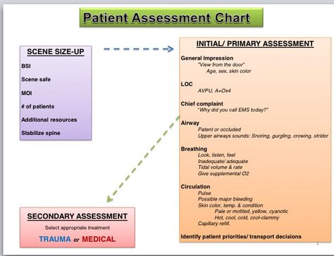 Patient assessment ems Patient Assessment Emt, Future Paramedic, Paramedic Study, Emt Basic, Emt Life, Emergency Medical Responder, Nursing Informatics, Patient Assessment, Ems Quotes