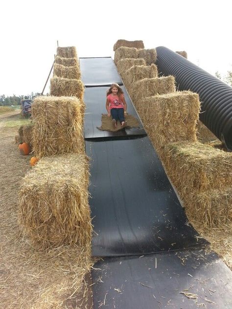 Natural Outdoor Playground, Agritourism Farms, Pumpkin Patch Ideas, Green Bridge, Pumpkin Patch Farm, Farm Day, Activities For All Ages, Barn Parties, Farm Fun