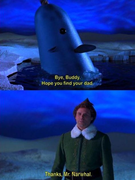 Buddy the Elf and Mr Narwhal Mr Narwhal, Buddy The Elf Quotes, Elf Quotes, Elf Funny, Elf Movie, Buddy The Elf, Movie Lines, Tv Quotes, Funny Movies