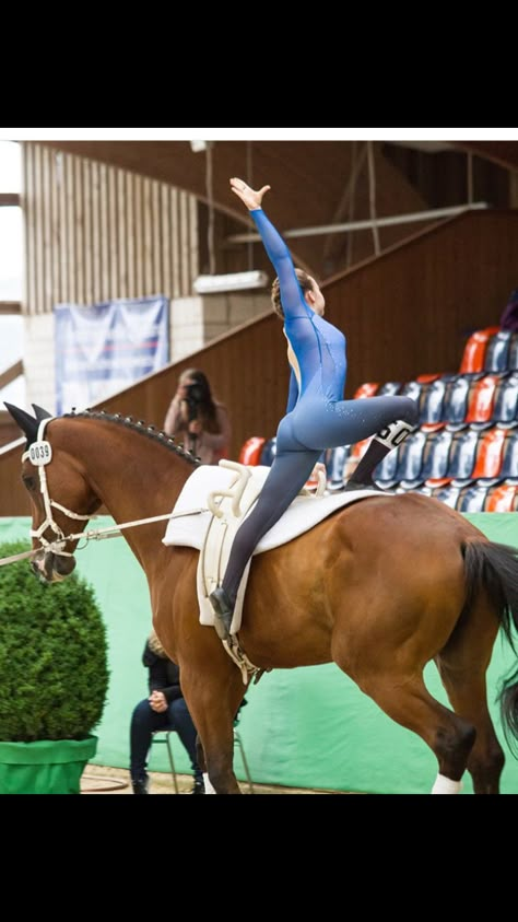 Equestrian Vaulting, Vaulting Equestrian, Horse Yoga, Circus Tricks, Horse Vaulting, Mystic Girls, Trick Riding, Horse Exercises, Equestrian Helmets