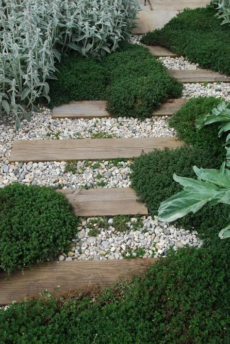 Walkways Ideas, Backyard Walkway, Garden Stepping Stones, Gravel Garden, Stone Walkway, Garden Walkway, Plants Growing, Rock Garden Landscaping, Have Inspiration