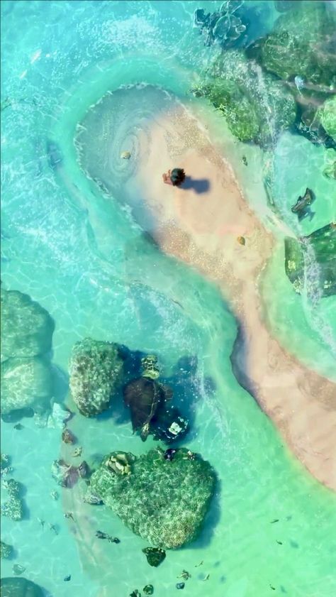 Moana Phone Wallpaper, Moana Wallpaper Iphone Aesthetic, Disney Wallpaper Moana, Moana Wallpaper Aesthetic, Moana Aesthetic Wallpaper, Moana Pictures, Oceania Disney, Moana Wallpaper Iphone, Moana Background