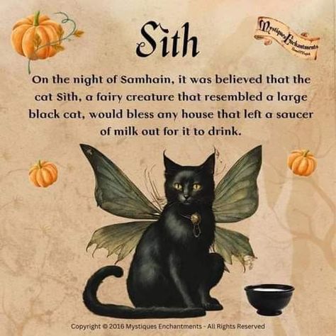 Cat Spells Witches, Magical Cat Art, Samhain Halloween, Curated Content, Wiccan Magic, Witch Spirituality, Magic Spell Book, Wiccan Spell Book, Witchcraft Spell Books