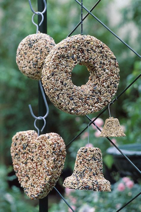 How to make a bird seed bell using pantry staples Diy Bird Seed Feeders, Easy Bird Feeders Diy, Homemade Bird Feeders For Kids, Bird Treats Homemade, Bird Seed Catcher Diy, Diy Bird Seed Ornaments, Bird Diy Crafts, Bird Seed Wreath Recipe, Macrame Bird Feeder