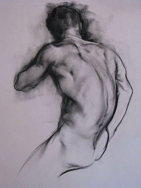 Life Drawings, Human Figure Drawing, Figure Drawings, Drawing Studies, Charcoal Art, Figure Sketching, White Drawing, Gesture Drawing, Anatomy Drawing