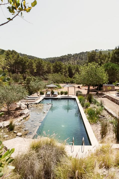 Natural swimming pool - Finca Can Martí Pool Flowers, Natural Swimming Ponds, Swimming Pond, Natural Pond, Natural Swimming Pools, Natural Swimming Pool, Natural Pool, Plunge Pool, Swimming Pool Designs